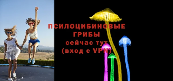 таблы Алзамай