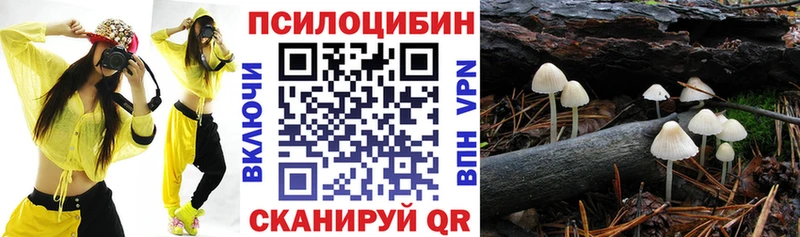 Псилоцибиновые грибы Psilocybine cubensis  kraken ТОР  Гаджиево 